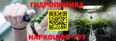 молекула духа Рузаевка