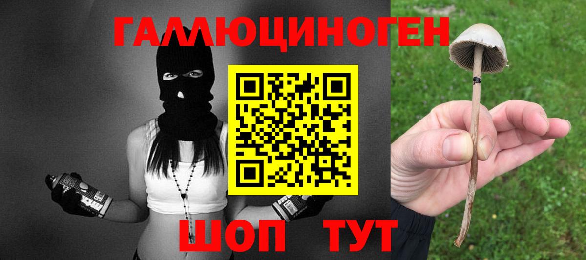 Аргун  Псилоцибиновые грибы Psilocybine cubensis  Вход с VPN 